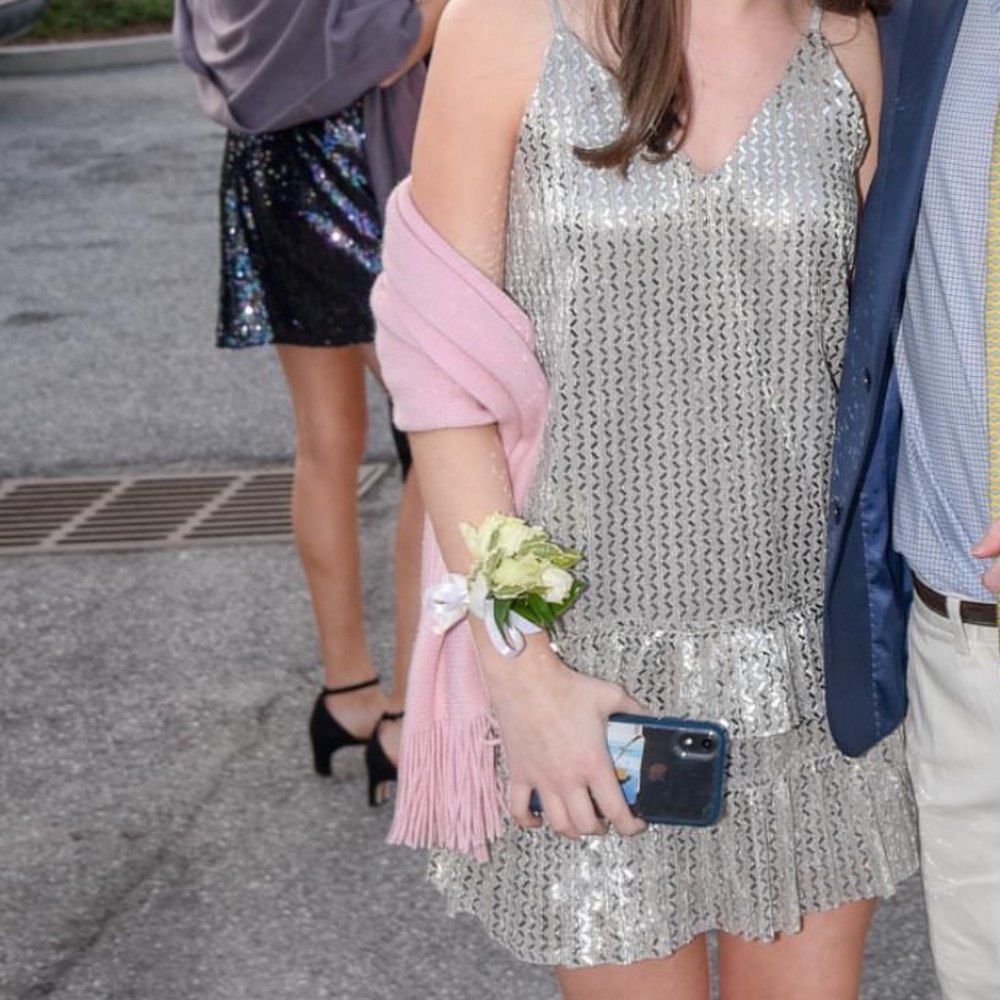 Lost + Wander silver sequin dress